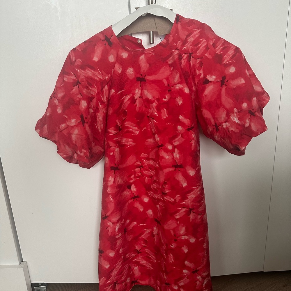 Latest season NWT &Other Stories Pink and Red floral dress